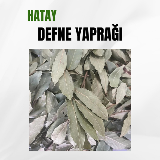 Defne Yaprağı (40 Gr.)